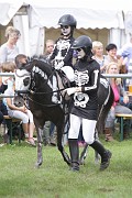 32_IMG_3 (4)